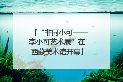 “非同小可——李小可艺术展”在西藏美术馆开幕