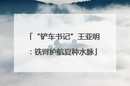 “铲车书记”王亚明：铁臂护航夏种水脉