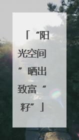 “阳光空间”晒出致富“籽”
