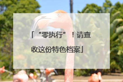 “零执行”！请查收这份特色档案