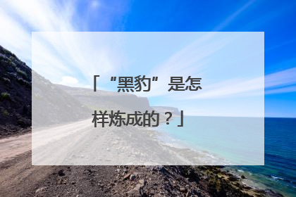 “黑豹”是怎样炼成的？