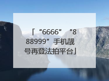 “6666”“888999”手机靓号再登法拍平台