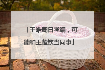 王皓周日考编，可能和王楚钦当同事