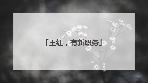 王红，有新职务