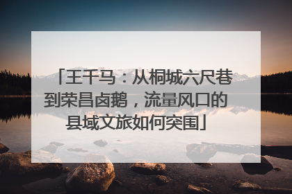 王千马：从桐城六尺巷到荣昌卤鹅，流量风口的县域文旅如何突围