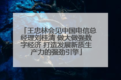 王忠林会见中国电信总经理刘桂清 做大做强数字经济 打造发展新质生产力的强劲引擎