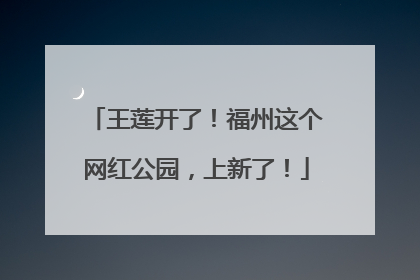 王莲开了！福州这个网红公园，上新了！