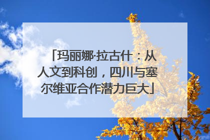玛丽娜·拉古什：从人文到科创，四川与塞尔维亚合作潜力巨大