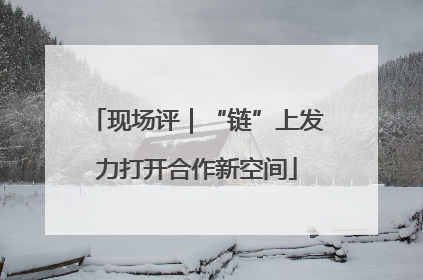 现场评｜“链”上发力打开合作新空间