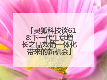 灵狐科技谈618:下一代生意增长之品效销一体化带来的新机会