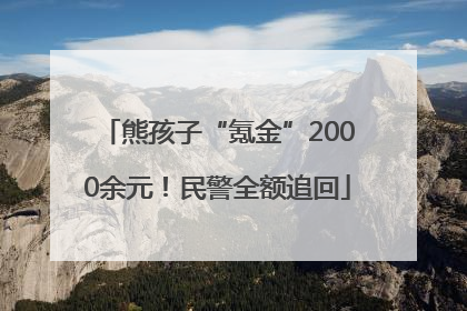 熊孩子“氪金”2000余元！民警全额追回