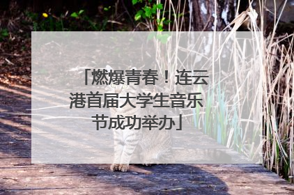 燃爆青春！连云港首届大学生音乐节成功举办