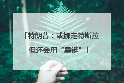 特朗普:或挪走特斯拉 但还会用“星链”