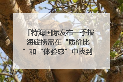 特海国际发布一季报 海底捞需在“质价比”和“体验感”中找到平衡｜新经济观察