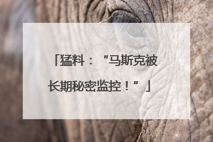猛料：“马斯克被长期秘密监控！”