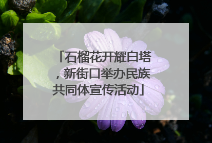 石榴花开耀白塔，新街口举办民族共同体宣传活动