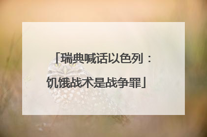 瑞典喊话以色列：饥饿战术是战争罪