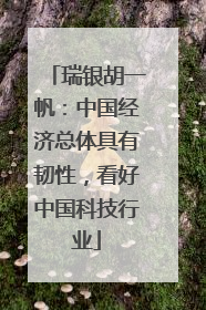 瑞银胡一帆：中国经济总体具有韧性，看好中国科技行业