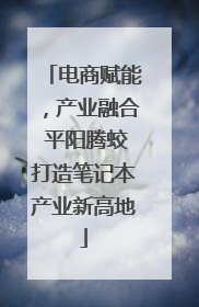 电商赋能，产业融合 平阳腾蛟打造笔记本产业新高地