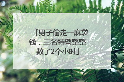 男子偷走一麻袋钱，三名特警整整数了2个小时
