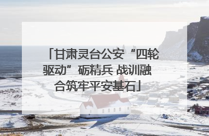 甘肃灵台公安“四轮驱动”砺精兵 战训融合筑牢平安基石