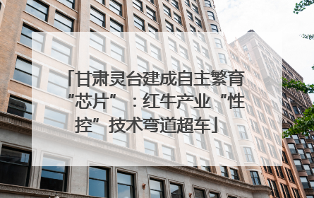 甘肃灵台建成自主繁育“芯片”：红牛产业“性控”技术弯道超车