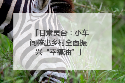 甘肃灵台：小车间榨出乡村全面振兴“幸福油”