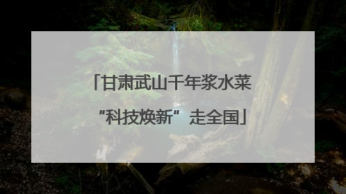 甘肃武山千年浆水菜“科技焕新”走全国