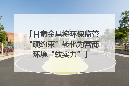 甘肃金昌将环保监管“硬约束”转化为营商环境“软实力”