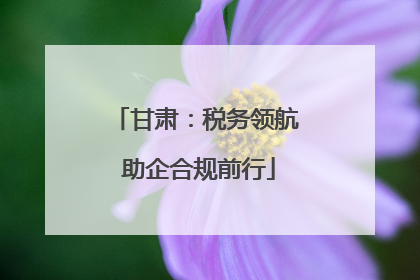 甘肃：税务领航 助企合规前行