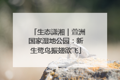 生态潇湘｜萱洲国家湿地公园：新生鹭鸟振翅欲飞