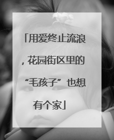 用爱终止流浪，花园街区里的“毛孩子”也想有个家