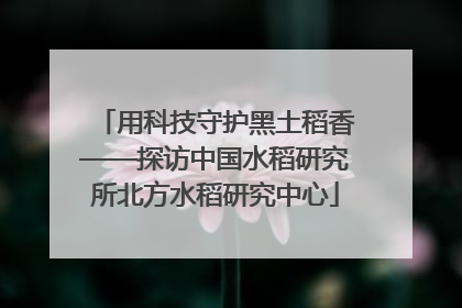 用科技守护黑土稻香——探访中国水稻研究所北方水稻研究中心