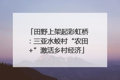 田野上架起彩虹桥：三亚水蛟村“农田+”激活乡村经济