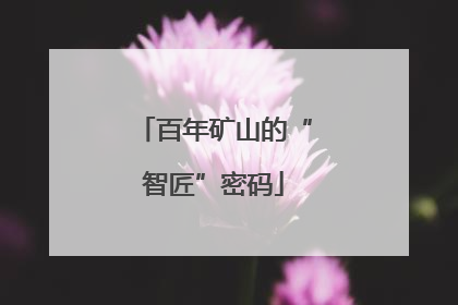 百年矿山的“智匠”密码