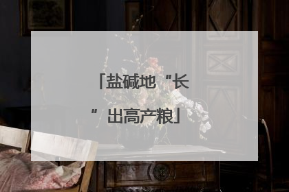 盐碱地“长”出高产粮