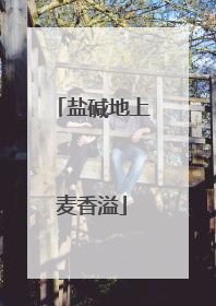 盐碱地上麦香溢