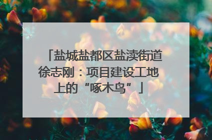 盐城盐都区盐渎街道徐志刚：项目建设工地上的“啄木鸟”