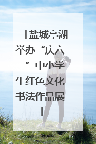 盐城亭湖举办“庆六一”中小学生红色文化书法作品展