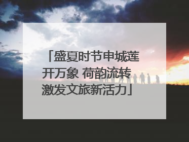 盛夏时节申城莲开万象 荷韵流转激发文旅新活力
