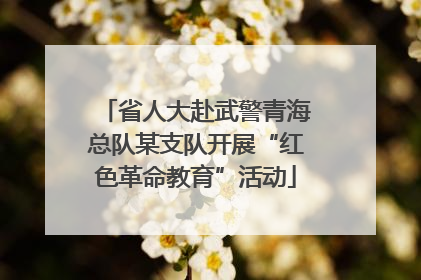 省人大赴武警青海总队某支队开展“红色革命教育”活动