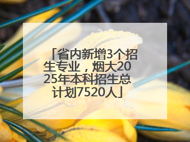 省内新增3个招生专业，烟大2025年本科招生总计划7520人