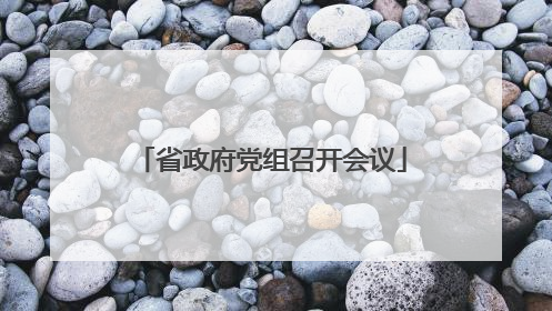 省政府党组召开会议