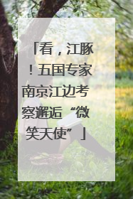 看，江豚！五国专家南京江边考察邂逅“微笑天使”