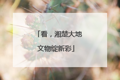 看，湘楚大地文物绽新彩