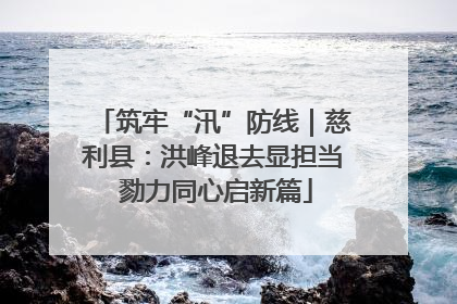 筑牢“汛”防线｜慈利县：洪峰退去显担当 勠力同心启新篇