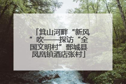 箕山河畔“新风”吹——探访“全国文明村”鄄城县凤凰镇酒店张村