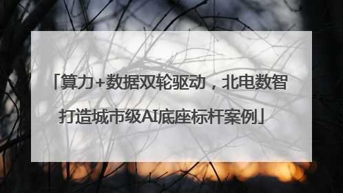算力+数据双轮驱动，北电数智打造城市级AI底座标杆案例