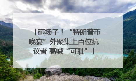 砸场子！“特朗普币晚宴”外聚集上百位抗议者 高喊“可耻”