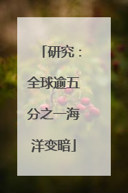 研究：全球逾五分之一海洋变暗